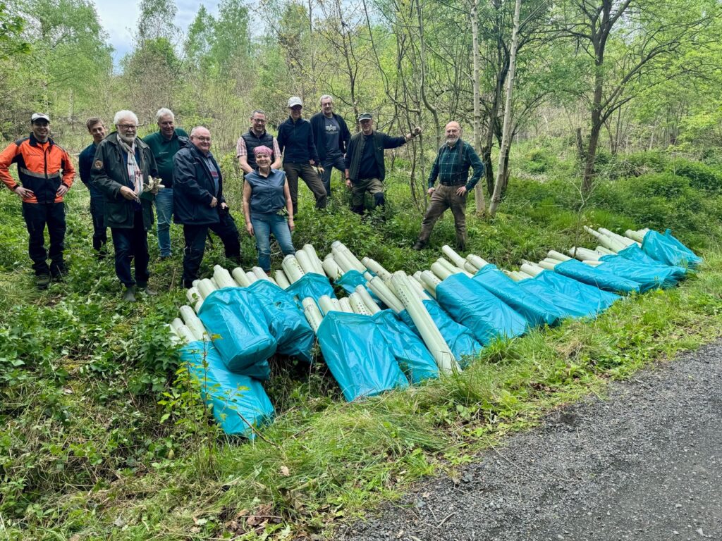 2024-05 - Rotary Club Alsfeld und Forstamt Romrod befreiten Bäume von Plastik-Wuchshülsen