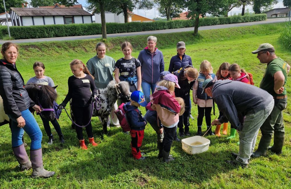 2024-06 - Islandpferdefreunde und Angelverein erforschten mit Kindern den Zeller Dorfteich - 4