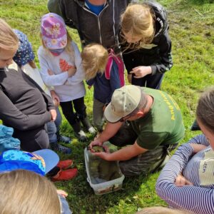 2024-06 - Islandpferdefreunde und Angelverein erforschten mit Kindern den Zeller Dorfteich - 5