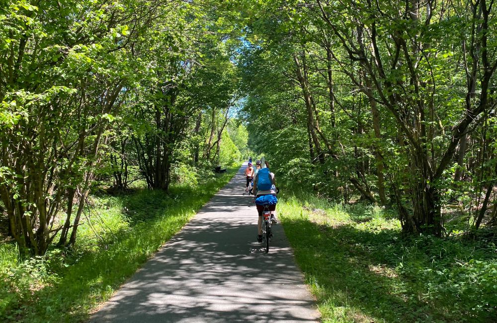 Auf dem Vulkanradweg im Vogelsbergkreis (Foto Thomas Liebau)